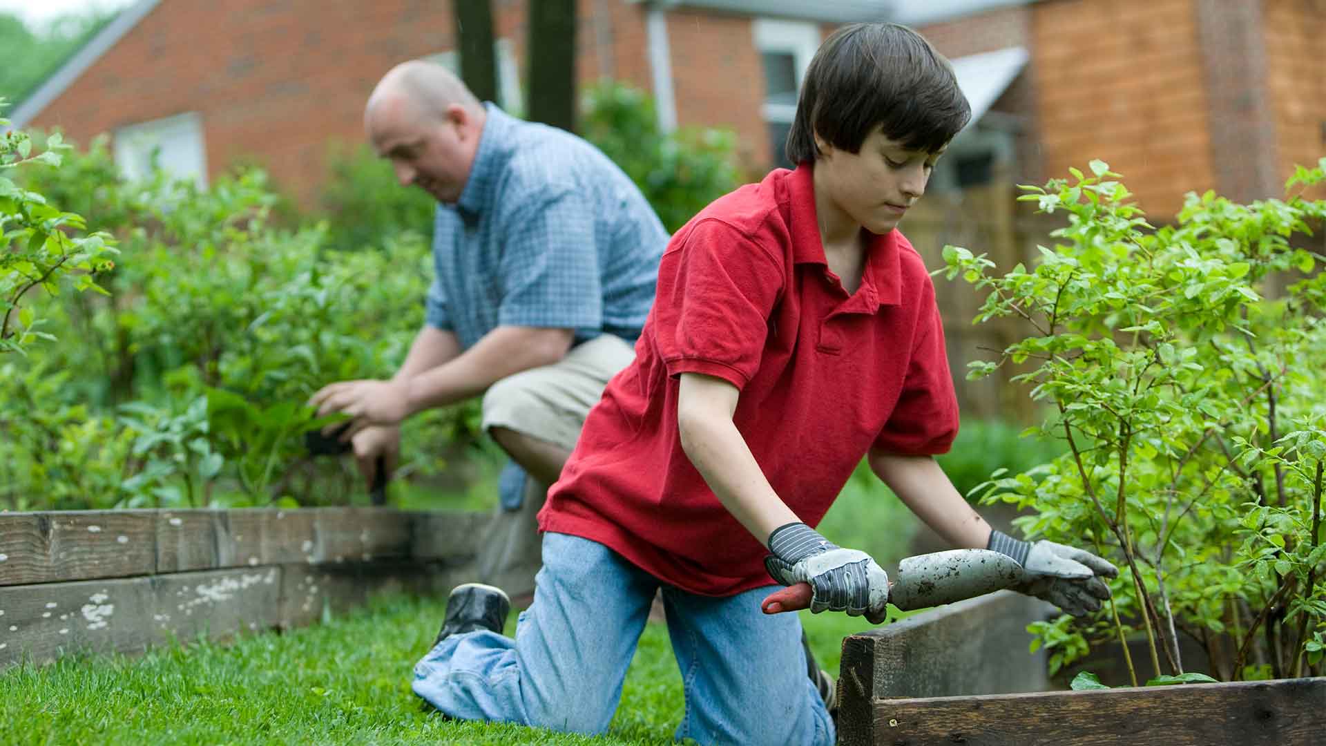 Annual Maintenance Services