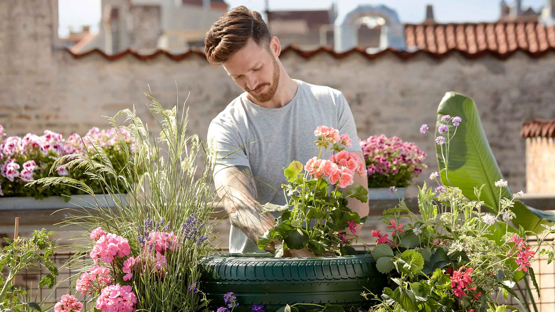 Commercial Green Solutions