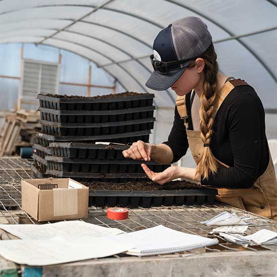 Office Plant Solutions